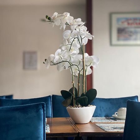 רויאן Hotel Le Pasteur מראה חיצוני תמונה
